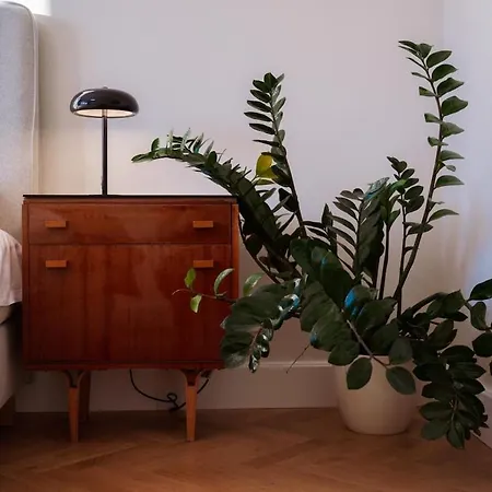 Charming Train Lines Apartmán